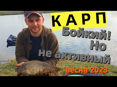 Видео: Весенний Карп. Почему за Карпом ездят на платник? РК Лагуна. Оз. Игумное.