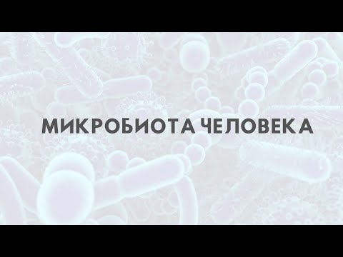 Видео: Микробиота человека