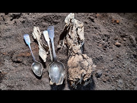 Видео: ЭТИ ПРЕДМЕТЫ БЫЛИ ЗАКОПАНЫ В ЗЕМЛЕ! УСПЕЛ ПЕРВЫМ! СОБРАЛ ВСЕ ЦЕННОЕ! РЕАЛЬНЫЕ КАДРЫ! Gold Hunter B75