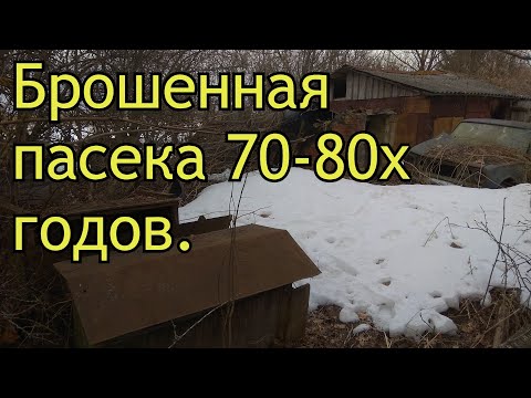 Видео: Брошенная пасека 70-80х годов.