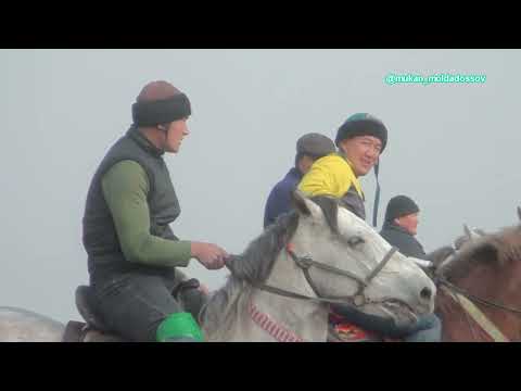 Видео: Кызылкум ауылы Мырзадияровтар аулеті Куаныш мырзанын елден бата алу той кокпары 29 11 2023