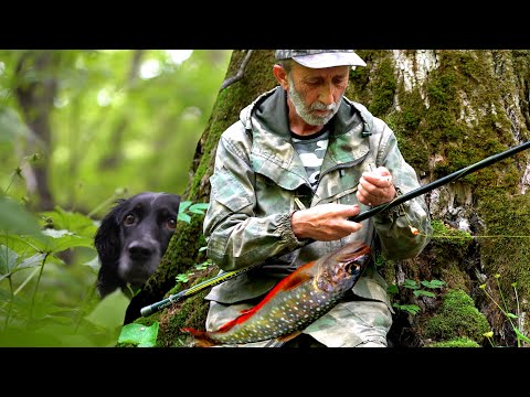 Видео: МАЛЬМА маленькая но очень Вкусная рыбка! Рыбалка и рецепт Правильной ухи. Горная рыбалка в Приморье.