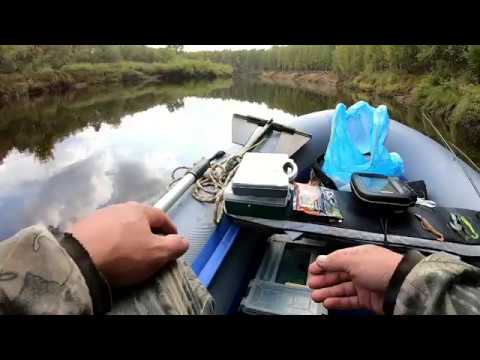 Видео: Двухдневная рыбалка на реке Пижма. День второй.