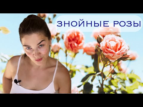 Видео: 5 роз на жару