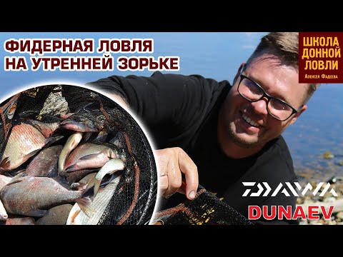 Видео: ФИДЕРНАЯ ЛОВЛЯ НА УТРЕННЕЙ ЗОРЬКЕ.