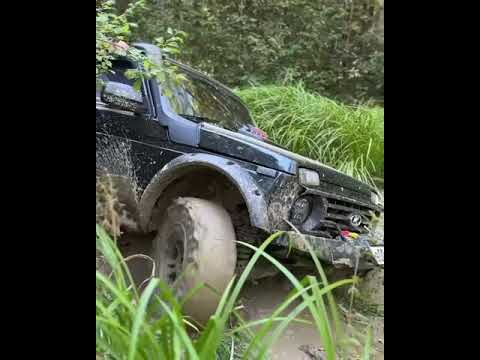 Видео: #ниватурбо #offroad #нивабронто