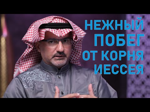 Видео: Мессия - Божественная Личность || Троица в Ветхом Завете 3