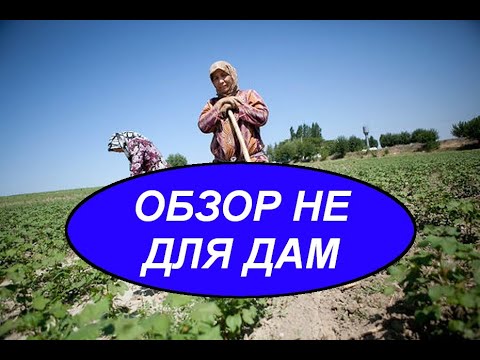 Видео: ОБЗОР НЕ ДЛЯ ДАМ