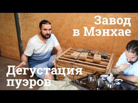Видео: Дегустация пуэра в Мэнхае. Чайный завод.