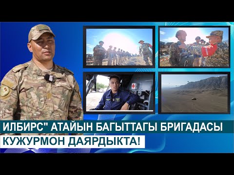 Видео: "ИЛБИРС" АТАЙЫН БАГЫТТАГЫ БРИГАДАСЫ КУЖУРМОН ДАЯРДЫКТА !