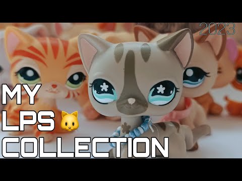 Видео: LPS: Моя LPS коллекция 🐱Персидские кошки, стоячие кошки, котята и другие