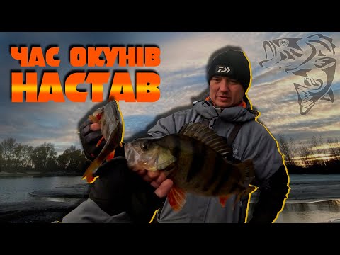 Видео: Ловля Окуня в Зимовий Період - Найдієвіша Техніка!