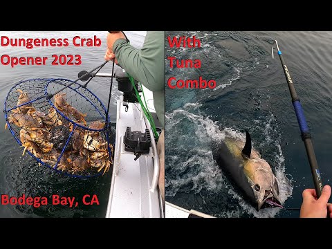 Видео: Открывалка для крабов Dungeness с комбо из голубого тунца