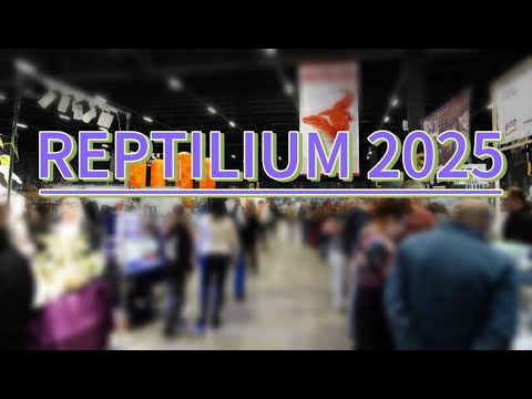 Видео: REPTILIUM 2025 | ФАНТАСТИЧЕСКИЕ ТВАРИ И ГДЕ ОНИ ОБИТАЮТ?!
