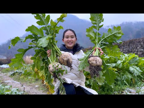 Видео: 3 редиски и рисовая лепешка, приготовьте большую кастрюлю и съешьте, это очень вкусно
