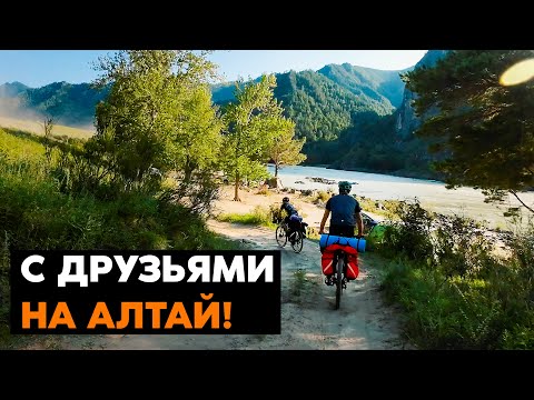 Видео: ВЕЛОПОХОД С ДРУЗЬЯМИ по Алтаю!