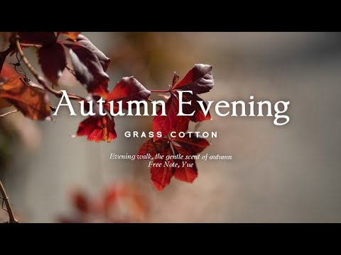 Видео: Вечерняя прогулка, лёгкий аромат осени l GRASS COTTON+