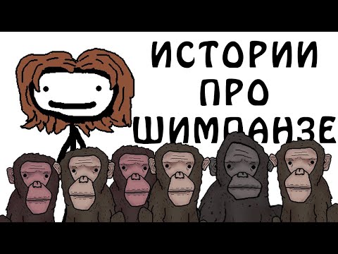 Видео: "Реальные истории про шимпанзе" - Академия Сэма О'Нэллы (Русская Озвучка Broccoli)