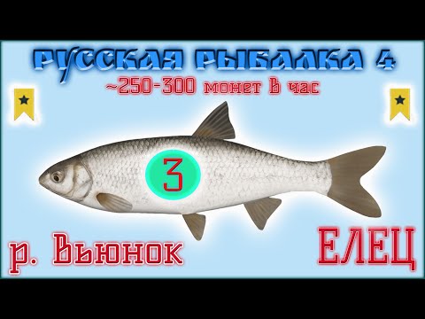 Видео: РР4 ВЬЮНОК ЕЛЕЦ ТРОФЕЙ / РУССКАЯ РЫБАЛКА 4 ВЬЮНОК ТРОФЕЙНЫЙ ЕЛЕЦ / RUSSIAN FISHING 4 DACE TROPHY