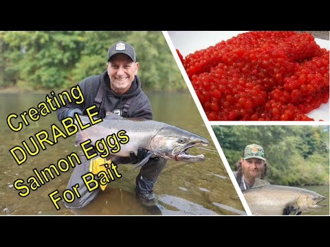 Видео: Создание прочной икры лосося для наживки