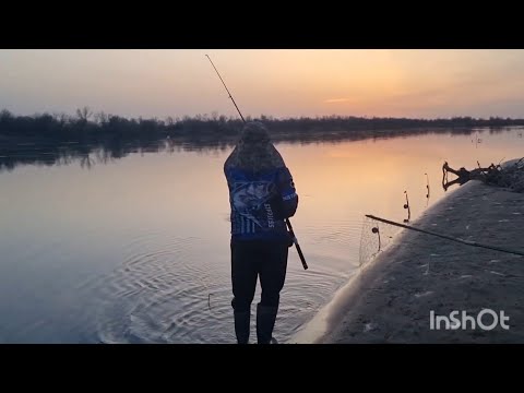 Видео: РЫБАЛКА ВЕСЕННЯЯ река Или, КАЗАХСТАН ЖЕДЕЛИ, КОКЖИДЕ.