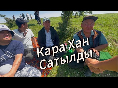 Видео: Кара хан Машрап байга кетти