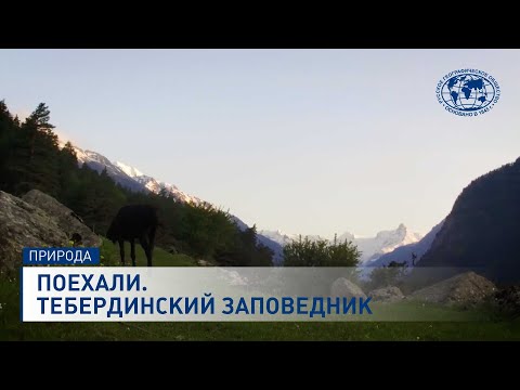 Видео: Отправляемся на экскурсию в Тебердинский заповедник | @rgo_films  | Теберда