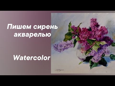 Видео: Пишем сирень акварелью.