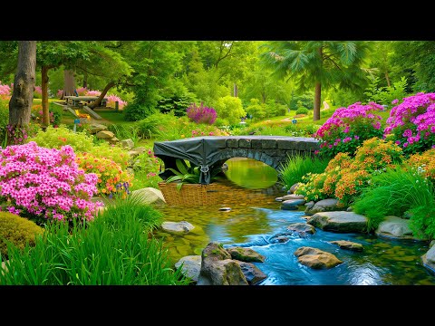 Видео: 🌼 Тихая симфония природы — пространство тишины, где музыка встречается с дыханием земли