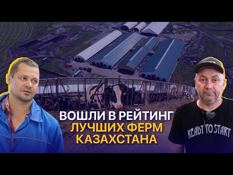 Видео: Как надоить 38 литров молока с коровы? Комплексный подход к молочному бизнесу в Казахстане