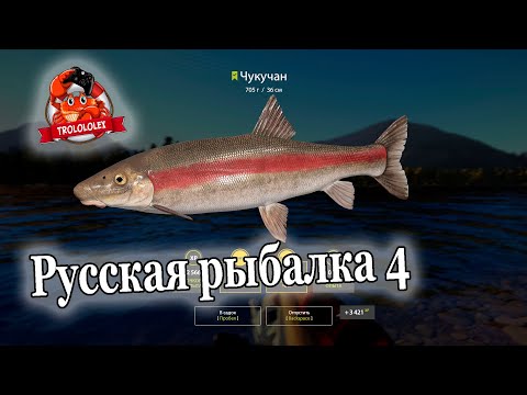 Видео: Русская рыбалка 4 Чукучан