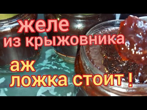 Видео: Желе из крыжовника. Как приготовить желе из крыжовника два способа. Желе из крыжовника на зиму.