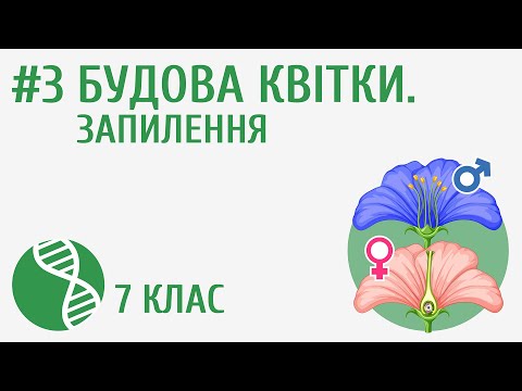 Видео: Будова квітки. Запилення #3