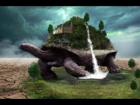 Видео: ВАШ ТОТЕМ  - ЧЕРЕПАХА