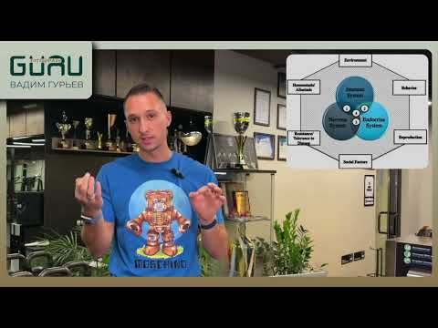 Видео: GURU раздает базу: Тренировки - Стресс - Прогресс