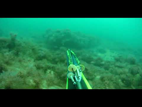 Видео: Подводная охота на черном море тонкий мыс