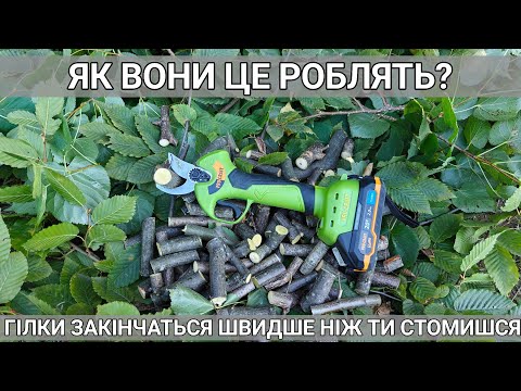 Видео: Секатор Procraft ES28Li/2 з акумулятором та кейсом