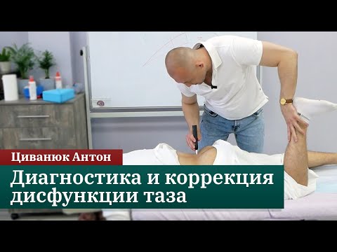 Видео: Диагностика и коррекция дисфункции таза. Циванюк Антон