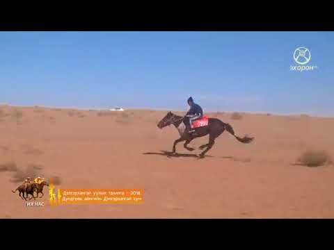 Видео: Дэлгэрхангай уулын тахилга  2018 Дундговь аймгийн Дэлгэрхангай сум