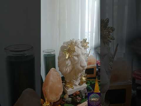 Видео: Ваш бывший уверен, что вернет вас, но вы даже не поговорили с ним!