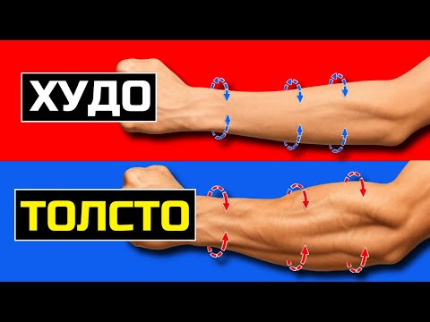 Видео: Всего 2 УПРАЖНЕНИЯ для невероятно больших ПРЕДПЛЕЧИЙ!