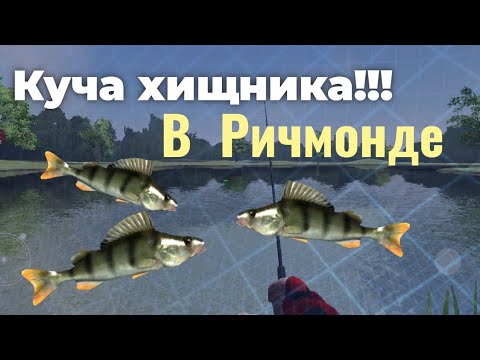 Видео: Ловля ЩУКИ и ОКУНЯ | Ultimate Fishing Simulator | Ричмонд
