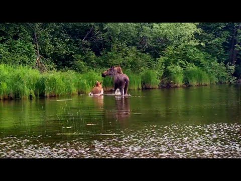 Видео: Якутия. Незабываемая рыбалка!