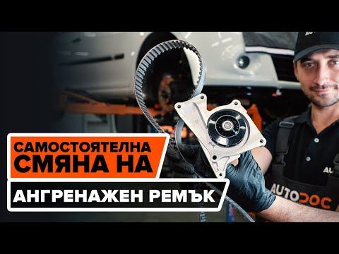 Видео: Как да сменим ангренажен ремък комплект и водна помпа на RENAULT CLIO 3 [ИНСТРУКЦИЯ AUTODOC]