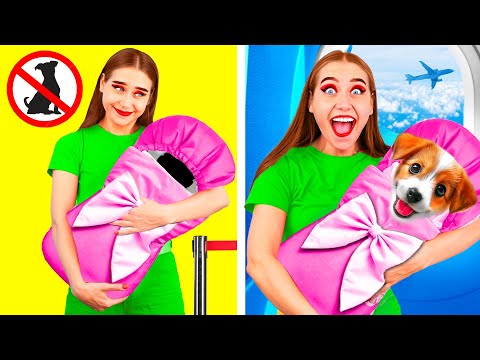Видео: Как Пронести Домашних Животных в Самолёт | Веселые Идеи от DuKoDu Challenge