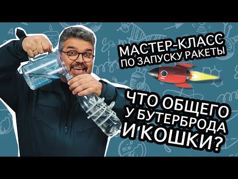 Видео: Что общего у бутерброда и кота? / Проверено наукой