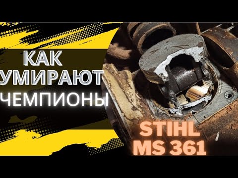 Видео: Смерть  бензопилы STIHL MS 361