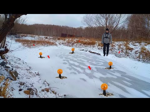 Видео: НЕВЕРОЯТНО!!! Откуда такие щуки в замершей луже?! ПЕРВЫЙ ЛЕД! Щука на ЖЕРЛИЦЫ в микроречке. Часть 2.