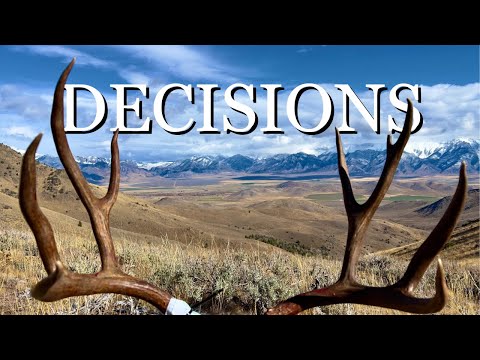 Видео: «Решения» — охота на оленей-мулов на общественных землях