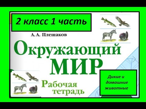 Видео: Окружающий мир 2 класс рабочая тетрадь. Дикие и домашние животные